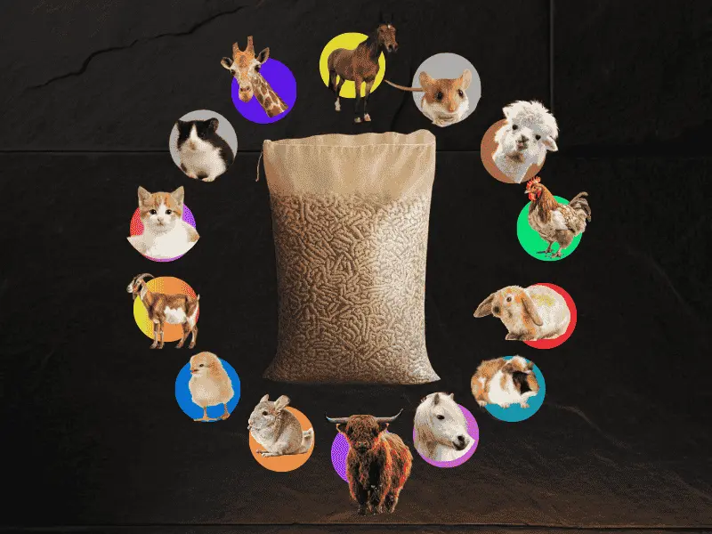 Miscanthus Pellets Einstreu 15 Kg | Einstreu.pro Miscanthus-Einstreu-Pellets-15-kg-fuer-kleine-Tiere