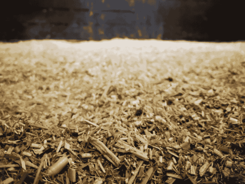 Miscanthus Pellets Einstreu Big Bag 1000 Kg | Einstreu.pro Miscanthus Häcksel 360 kg – nachhaltige Einstreu für Pferde von Delves