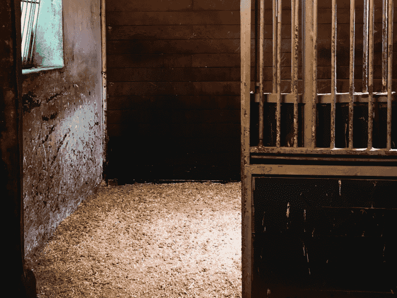 Miscanthus Pellets Einstreu Big Bag 1000 Kg | Einstreu.pro Miscanthus Pellets Einstreu Big Bag 1000 Kg – Bild 8