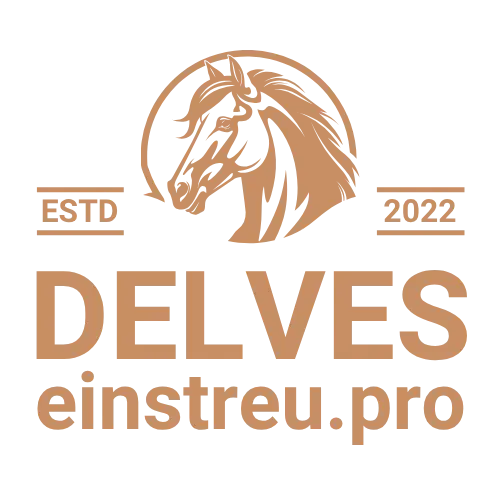logo Delves Einstrue.pro