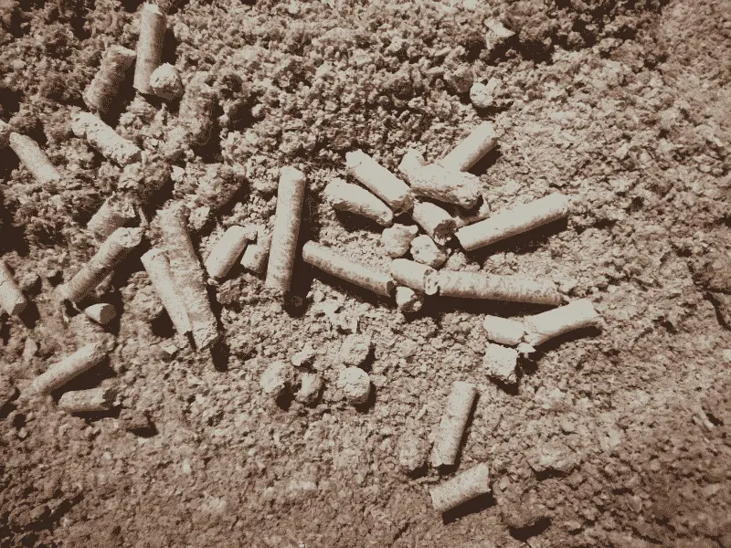 Miscanthus Pellets Einstreu 945 Kg | Einstreu.pro wie_sieht_aufgequollene_miscanthus_pellets_als_pelletmasse_im_stall_au