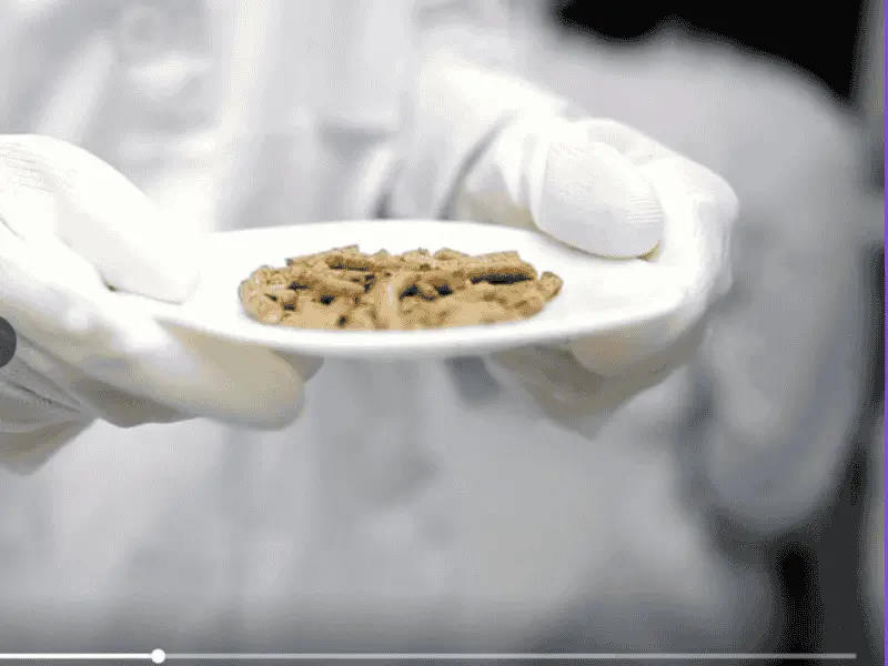 Holzpellets Einstreu 975 Kg | Einstreu.pro wie_sieht_delves_einstreu_pro_pellets_labortest_in_weissen_handschuhen_aus