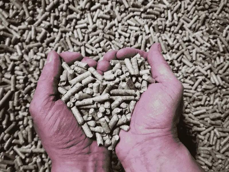 Miscanthus Pellets Einstreu 945 Kg | Einstreu.pro wie_sieht_die_textur_von_miscanthus_pellets_in_den_haenden_aus