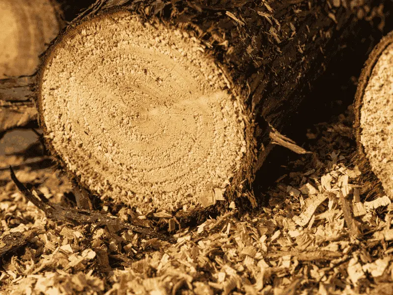 Holzpellets Einstreu 975 Kg | Einstreu.pro wie_sieht_ein_holzstamm_mit_spaenen_und_saegeabfall_aus