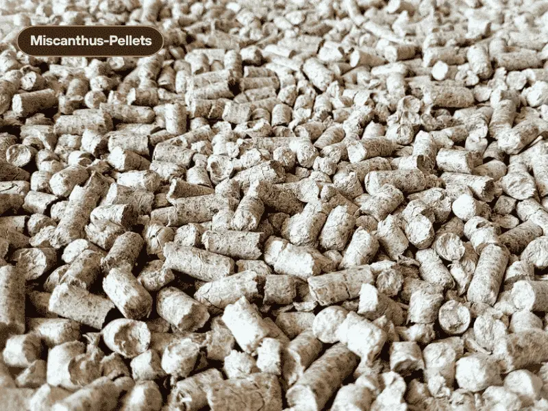 Miscanthus Pellets Vorher & Nachher im Pferdestall