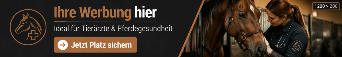 Eigenwerbung Homepage