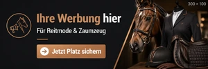 Eigenwerbung Homepage