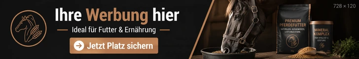 Eigenwerbung Homepage